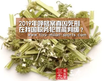 2019年呼格案真凶死刑 在我国职务犯罪能判缓?‘米兰体育app下载’(图1) 米兰体育app官网
